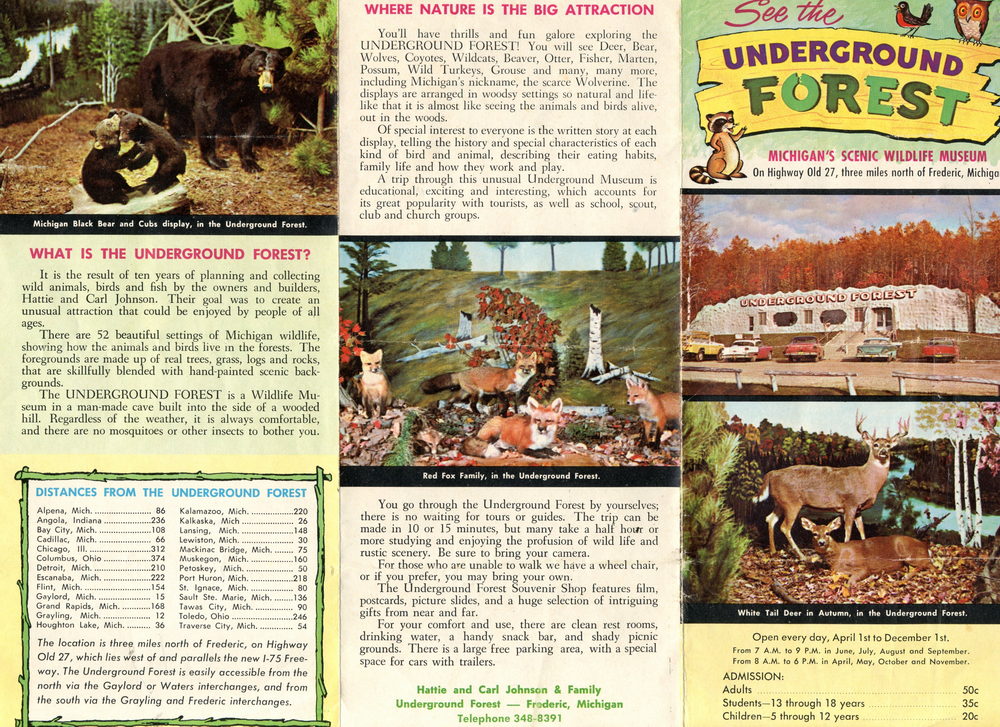 Underground Forest - Old Flyer (newer photo)